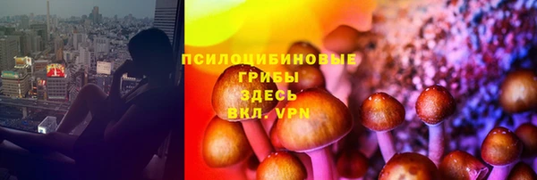бошки Алзамай