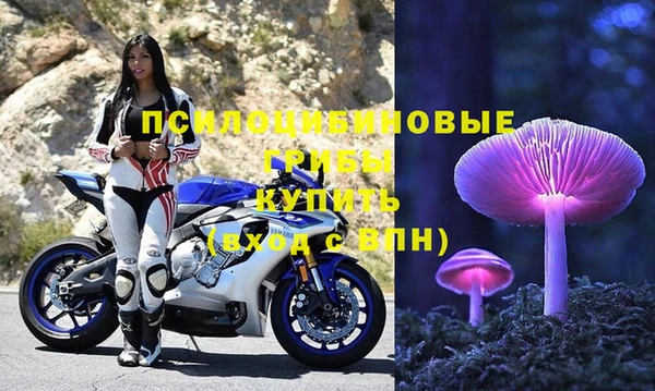 бошки Алзамай