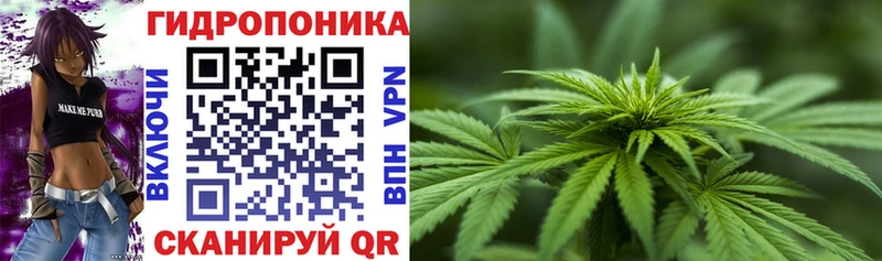 наркошоп  Щигры  кракен ССЫЛКА  Бошки Шишки план 